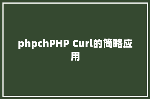 phpchPHP Curl的简略应用