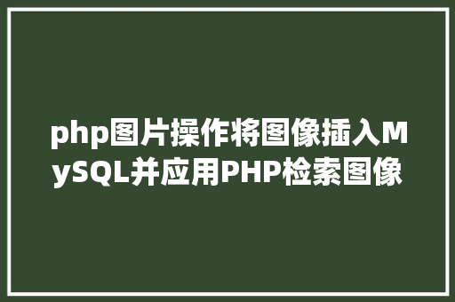 php图片操作将图像插入MySQL并应用PHP检索图像 Vue.js