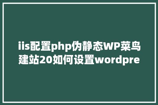 iis配置php伪静态WP菜鸟建站20如何设置wordpress伪静态来做好网站URL优化 NoSQL