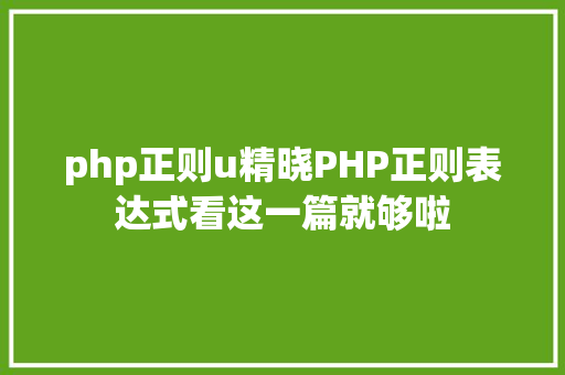 php正则u精晓PHP正则表达式看这一篇就够啦 React