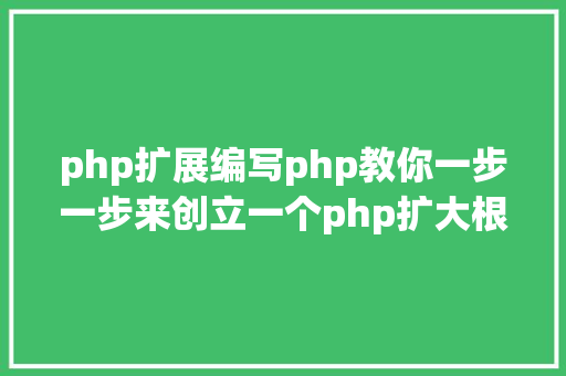 php扩展编写php教你一步一步来创立一个php扩大根本步调 Webpack