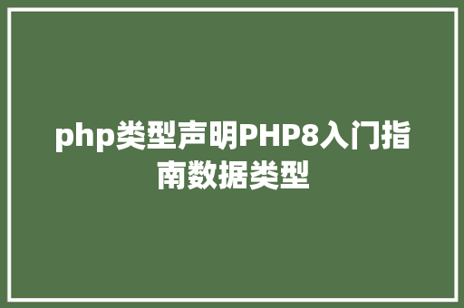 php类型声明PHP8入门指南数据类型 AJAX