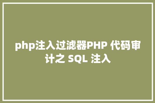 php注入过滤器PHP 代码审计之 SQL 注入