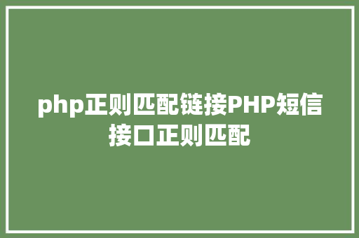 php正则匹配链接PHP短信接口正则匹配 NoSQL