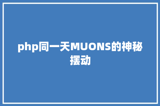 php同一天MUONS的神秘摆动