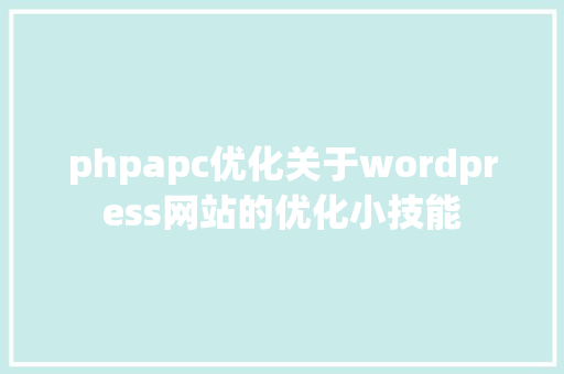 phpapc优化关于wordpress网站的优化小技能