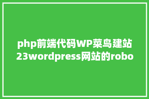 php前端代码WP菜鸟建站23wordpress网站的robots文件代码如何写比拟好