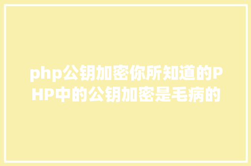 php公钥加密你所知道的PHP中的公钥加密是毛病的 PHP