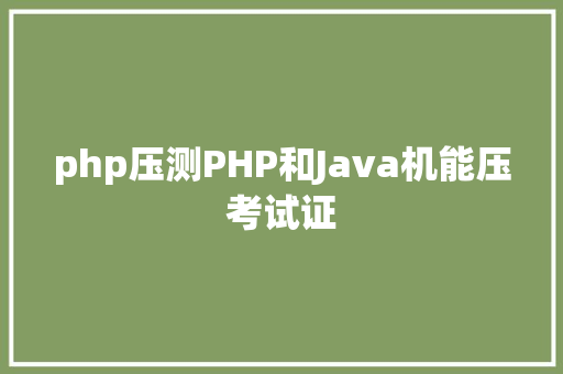 php压测PHP和Java机能压考试证