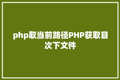 php取当前路径PHP获取目次下文件 Vue.js