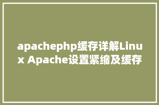 apachephp缓存详解Linux Apache设置紧缩及缓存