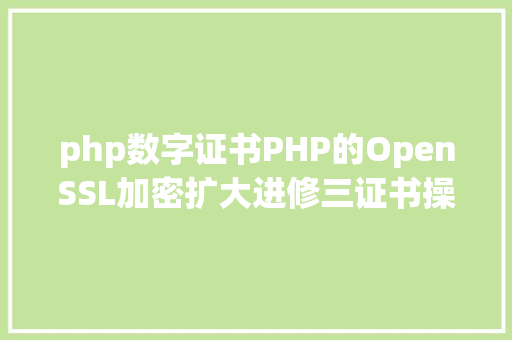 php数字证书PHP的OpenSSL加密扩大进修三证书操作