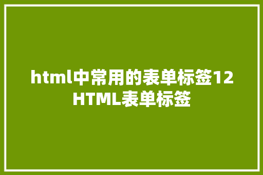 html中常用的表单标签12HTML表单标签