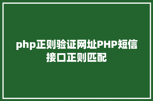 php正则验证网址PHP短信接口正则匹配 CSS