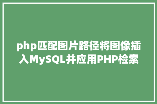 php匹配图片路径将图像插入MySQL并应用PHP检索图像 GraphQL