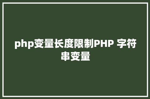 php变量长度限制PHP 字符串变量 React