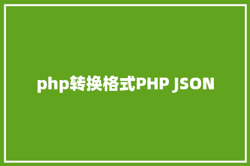 php转换格式PHP JSON Vue.js