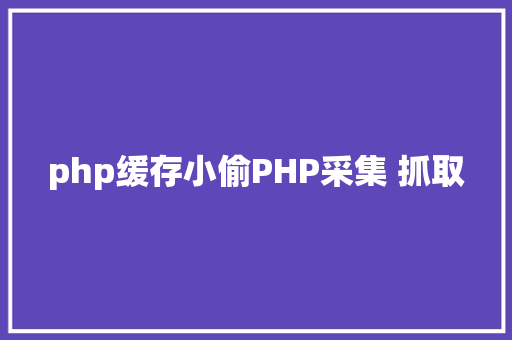 php缓存小偷PHP采集 抓取 Node.js