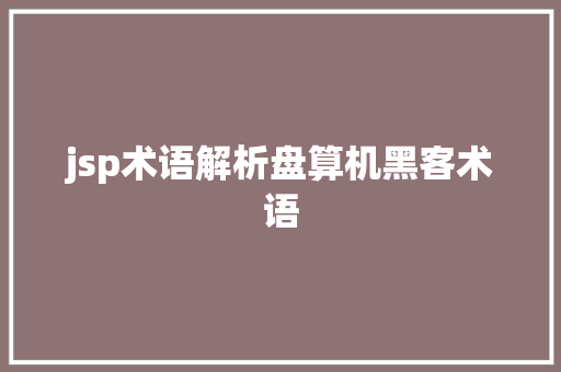 jsp术语解析盘算机黑客术语