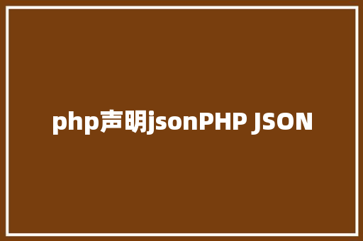 php声明jsonPHP JSON Vue.js