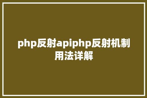 php反射apiphp反射机制用法详解 Node.js