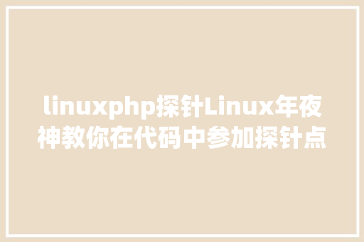 linuxphp探针Linux年夜神教你在代码中参加探针点的最牛方法