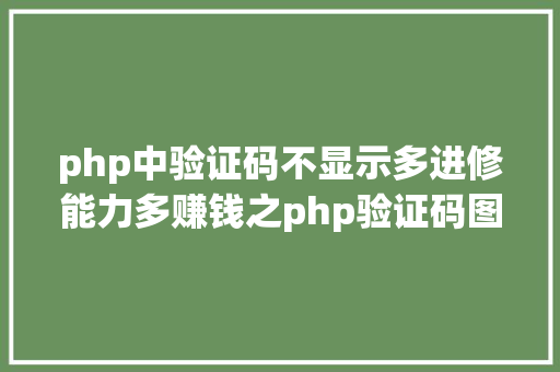 php中验证码不显示多进修能力多赚钱之php验证码图片不显示 Vue.js