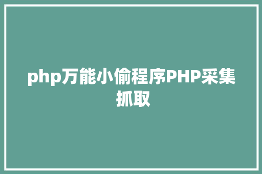 php万能小偷程序PHP采集 抓取 Python