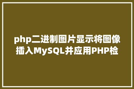 php二进制图片显示将图像插入MySQL并应用PHP检索图像 GraphQL