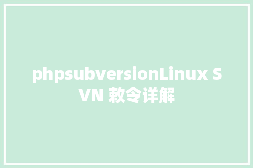 phpsubversionLinux SVN 敕令详解 Python