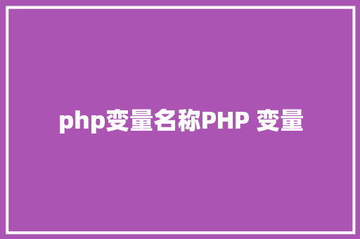 php变量名称PHP 变量 Vue.js