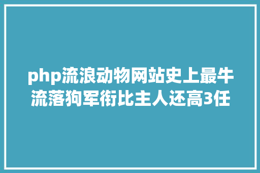 php流浪动物网站史上最牛流落狗军衔比主人还高3任总统是它的粉丝 NoSQL