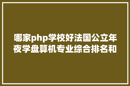 哪家php学校好法国公立年夜学盘算机专业综合排名和教授教养程度都超好的是这些黉舍