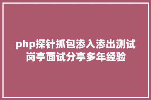 php探针抓包渗入渗出测试岗亭面试分享多年经验 RESTful API