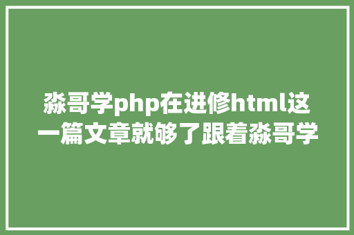 淼哥学php在进修html这一篇文章就够了跟着淼哥学php全栈之路8 Java