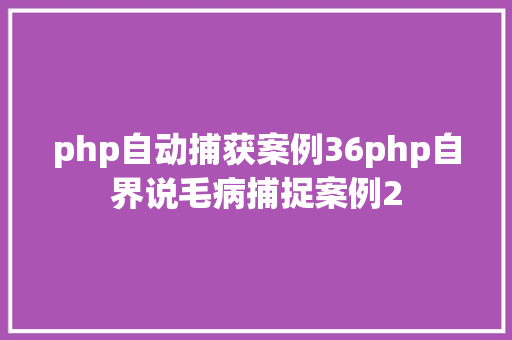 php自动捕获案例36php自界说毛病捕捉案例2 Python