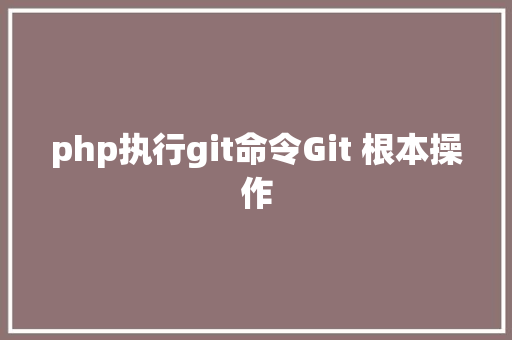 php执行git命令Git 根本操作