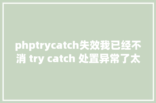 phptrycatch失效我已经不消 try catch 处置异常了太烦人了 PHP