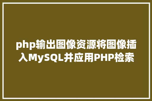 php输出图像资源将图像插入MySQL并应用PHP检索图像 NoSQL