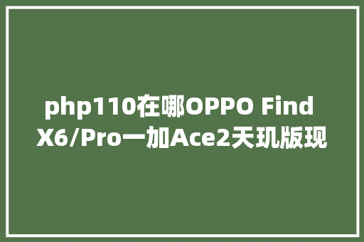 php110在哪OPPO Find X6/Pro一加Ace2天玑版现获工信部入网认证3月见