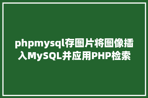 phpmysql存图片将图像插入MySQL并应用PHP检索图像 jQuery