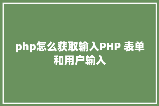 php怎么获取输入PHP 表单和用户输入 Vue.js