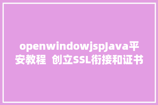 openwindowjspJava平安教程  创立SSL衔接和证书