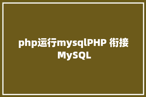 php运行mysqlPHP 衔接 MySQL Webpack