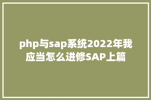 php与sap系统2022年我应当怎么进修SAP上篇 Angular