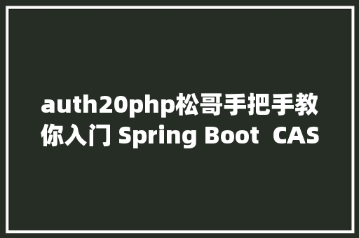 auth20php松哥手把手教你入门 Spring Boot  CAS 单点登录 Angular