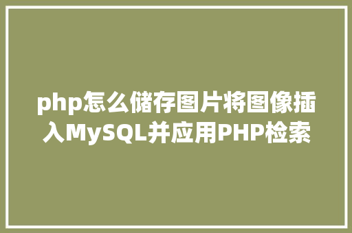 php怎么储存图片将图像插入MySQL并应用PHP检索图像 Python