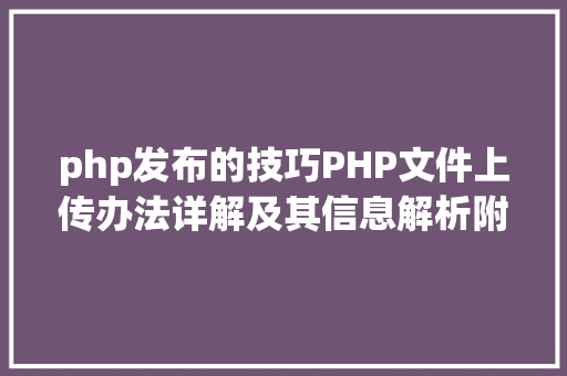 php发布的技巧PHP文件上传办法详解及其信息解析附视频 JavaScript