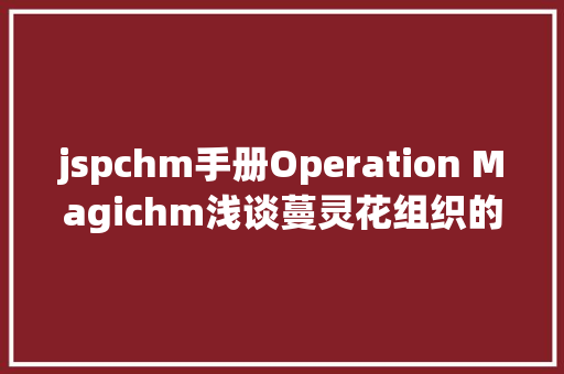 jspchm手册Operation Magichm浅谈蔓灵花组织的CHM文件投放与后续操作 CSS