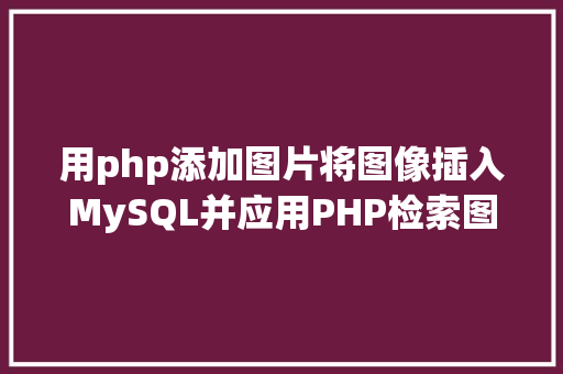 用php添加图片将图像插入MySQL并应用PHP检索图像 Docker